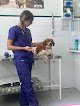Negocio Clínica Veterinaria Zalavet | Burlada