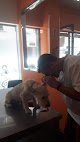 Clínica Veterinaria Zarpas Y Aletas