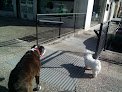 Negocio Clinica Veterinaria Zaunka Llodio