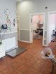Clínica Veterinaria +kota