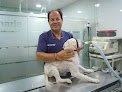 Negocio Clinicas Veterinarias Avila Fornell Sl