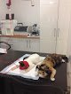 Negocio Consulta Veterinaria La Palmera