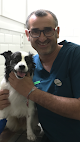 Negocio Consultorio Veterinario Ivet Posada De Llanes