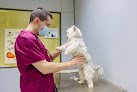 Negocio Consultorio Veterinario Las Labradas