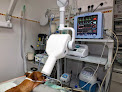 Cvs: Centro Veterinario Segovia