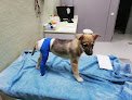 Evidensia Majuelos-hospital Veterinario