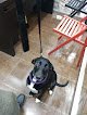 Negocio ExÒtics I +, ClÍnica Veterinaria En Llucmajor