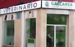 Gallarza Centro Veterinario