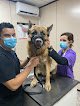 Negocio Garem Veterinarios 24 Horas