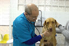 Hachiko Clinica Veterinaria