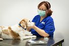Negocio Hospital De Urgencias Veterinarias Región De Murcia