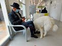 Hospital Veterinari Canis - Mallorca