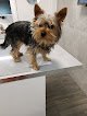 Negocio Hospital Veterinaria El Berrón