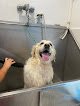 Negocio Hospital Veterinario Ávila El Puerto - Urgencias Presenciales 24h