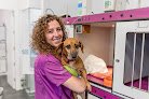 Negocio Hospital Veterinario Ciutat D´inca