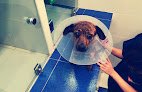 Hospital Veterinario Costa Azahar