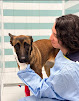 Hospital Veterinario Del Mar