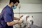 Negocio Hospital Veterinario Desvern