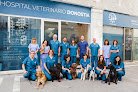 Negocio Hospital Veterinario Donostia
