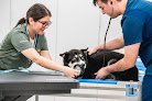 Hospital Veterinario Gasteiz