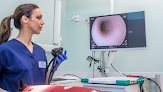 Negocio Hospital Veterinario Gattos | Urgencias 24h