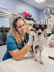 Hospital Veterinario Los Tarahales