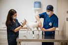 Negocio Hospital Veterinario Sos Animal