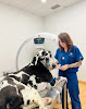 Hospital Veterinario Sur