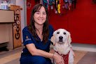 Negocio Hospital Veterinario Tartanga Unavets Erandio