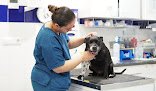 Negocio Hospital Veterinario Torrent