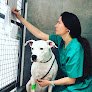 Negocio Hospital Veterinario Vetvida Especialitats I Urgencies 24hores
