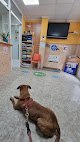 Negocio Isabel Solaz Centro Veterinario