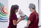 Negocio Ivem - Instituto Veterinario Mediterraneo