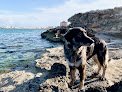 Negocio Kami Veterinaria