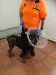 Negocio Mivet Hospital Veterinario Mallorca Veterinaris