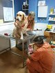 Negocio Nexo Veterinario Punta