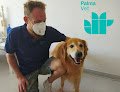 Negocio Palma Vet Servicios Veterinarios A Domicilio