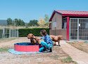 Negocio Residencia Canina Nanclares