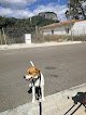 Negocio Rubinca Clin-vet