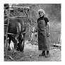 Negocio Servicio Veterinario Pirineo