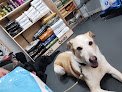 Negocio Tartanga Castro Urdiales Clinica Veterinaria