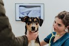 Negocio Urquiza Clinica Veterinaria
