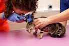 Negocio Veterinària Porreres