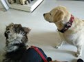 Negocio Veterinària Sa Palla