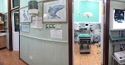 Veterinaria San Jose