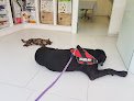 Negocio Veterinaria Son Caliu