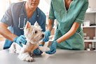 Negocio Veterinario En Pamplona | Clínica Veterinaria Nuevo Ártica