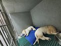 Negocio Veterinarios La Caridad