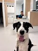 Negocio Veterinarios Planet Urgencias 629281135